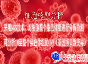 細(xì)胞核型分析
