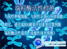 端粒酶活性檢測(cè)