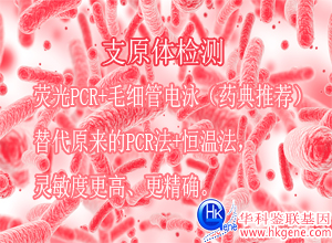 支原體檢測(cè)