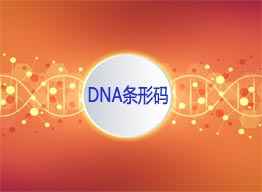 DNA條形碼技術(shù)介紹