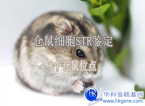 倉(cāng)鼠細(xì)胞鑒定