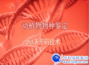 動(dòng)植物物種鑒定