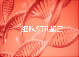 細(xì)胞STR鑒定是什么？